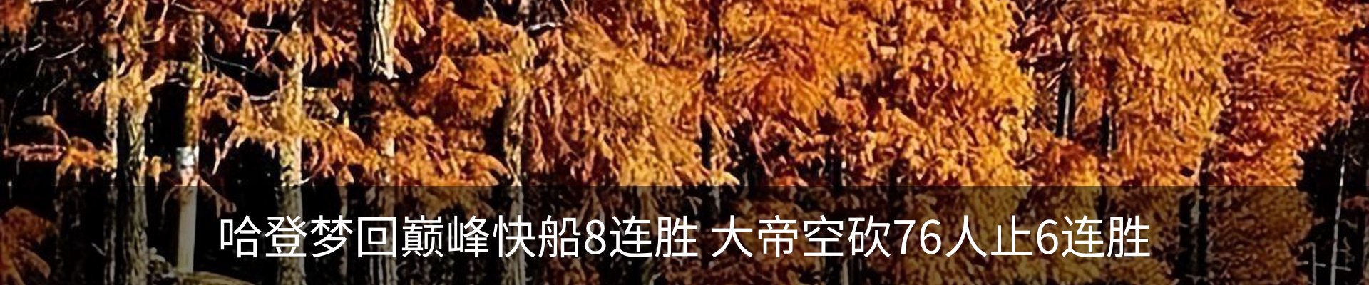 内页banner